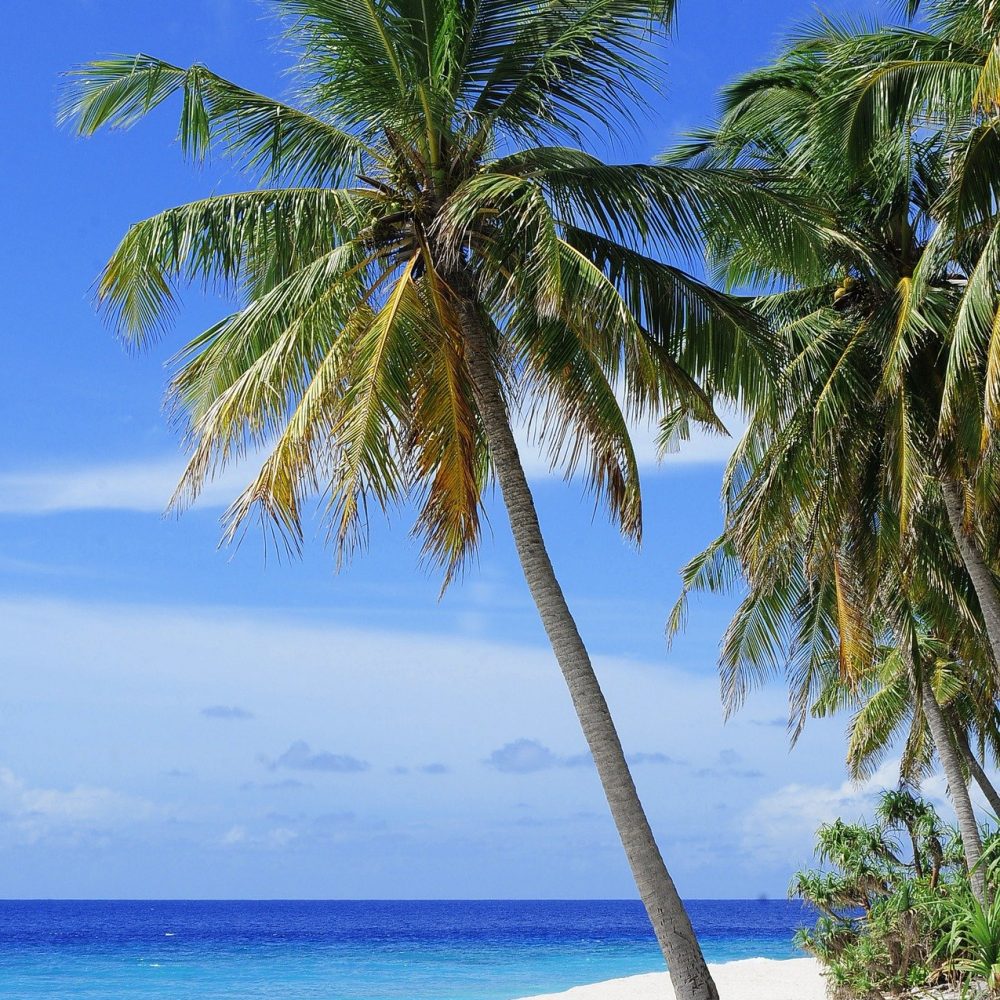 beach-2178747_1920