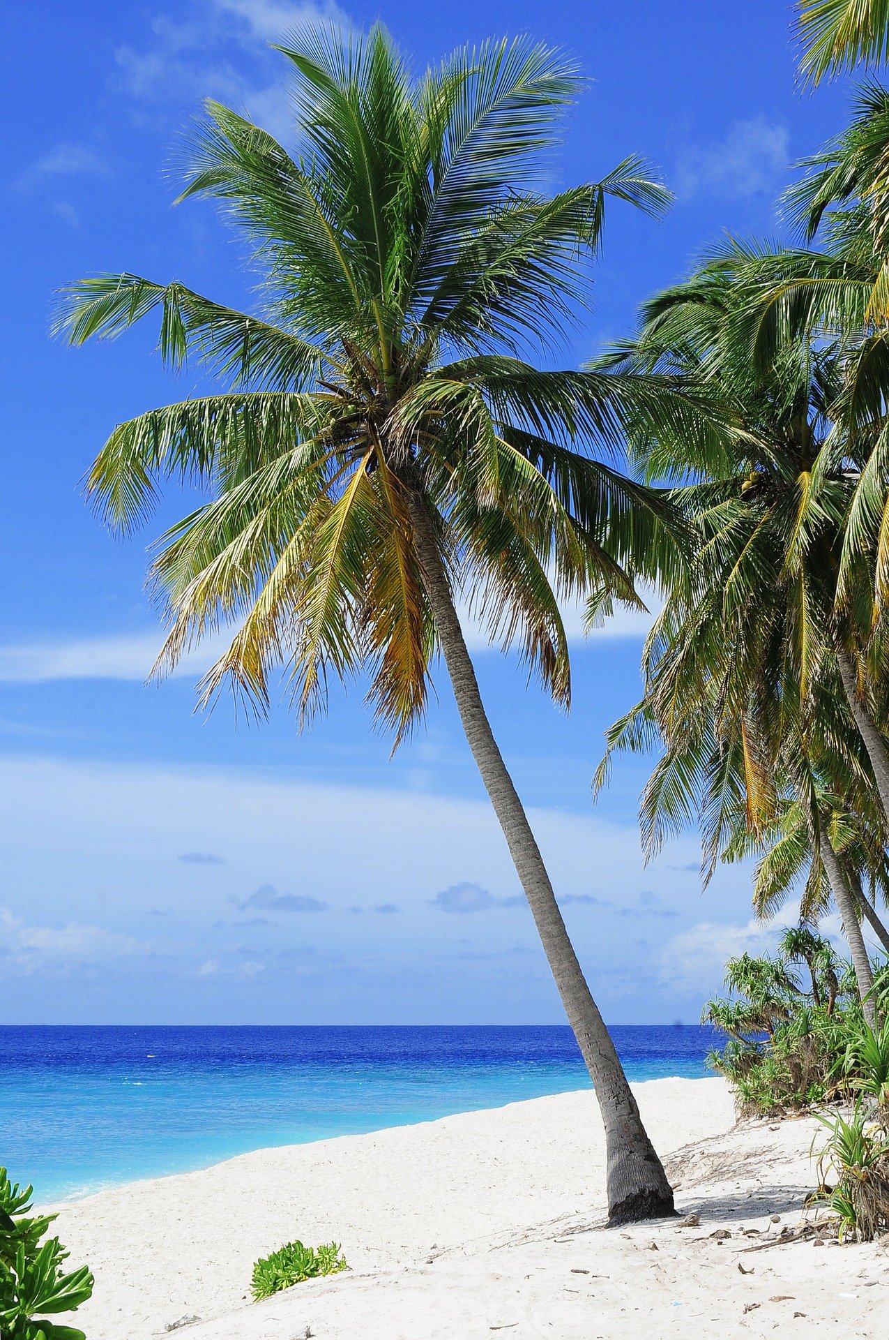 beach-2178747_1920
